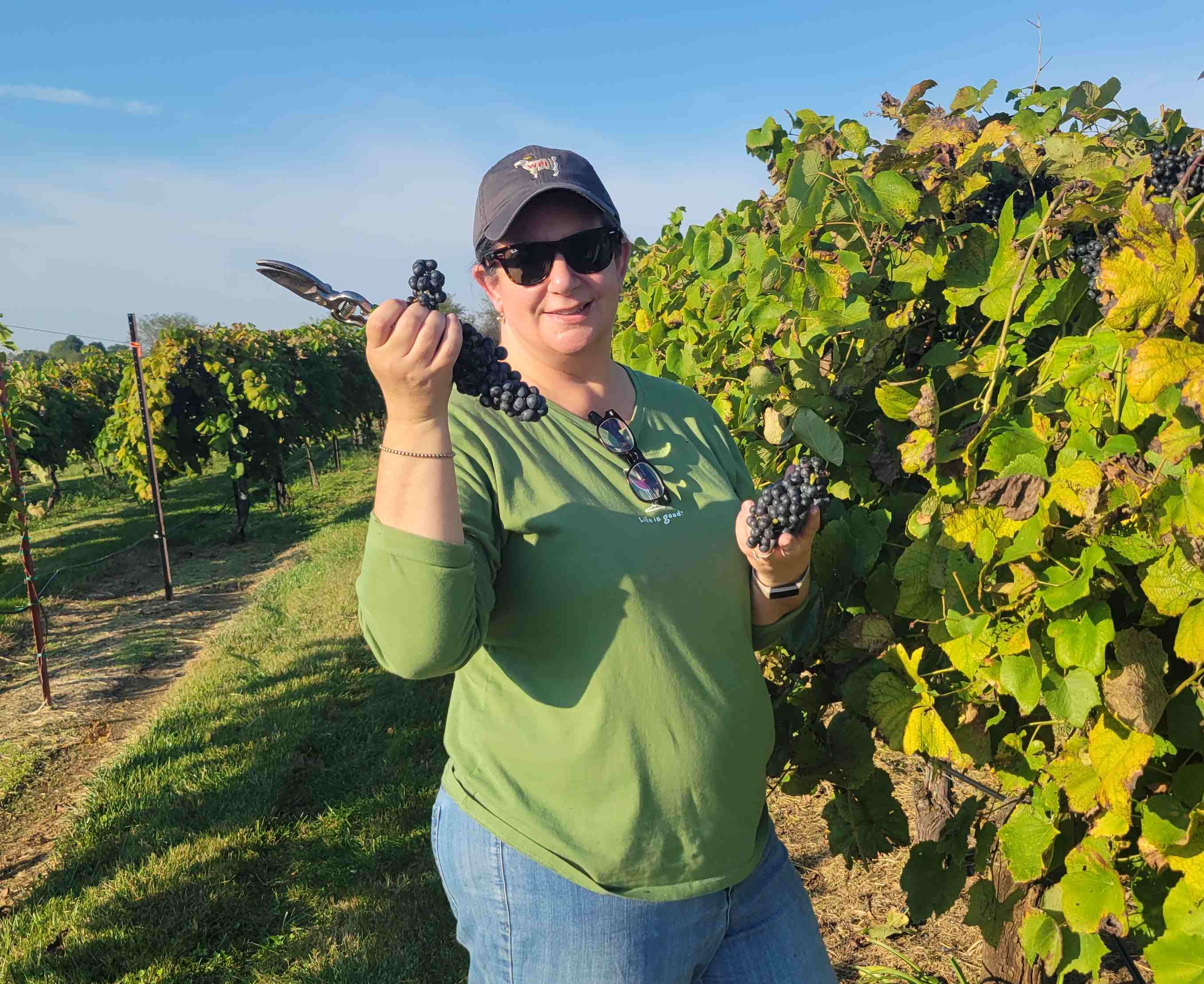 2021-10-08 B picking grapes.jpg